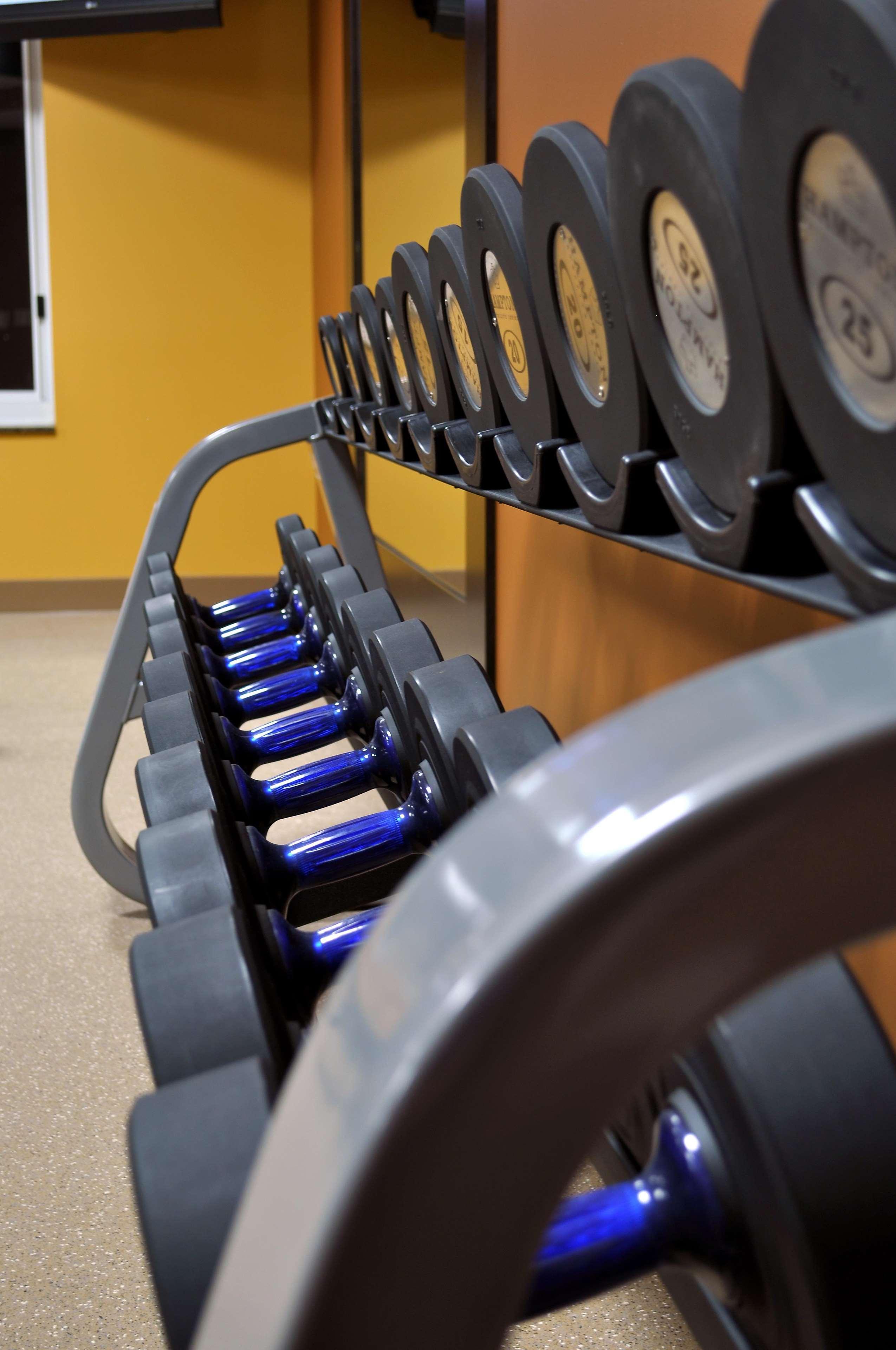 Doubletree By Hilton St. Louis At Westport Hotel Maryland Heights Facilities photo
